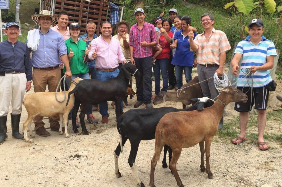 Familias Campesinas De Ibagu Beneficiadas Por El Programa De