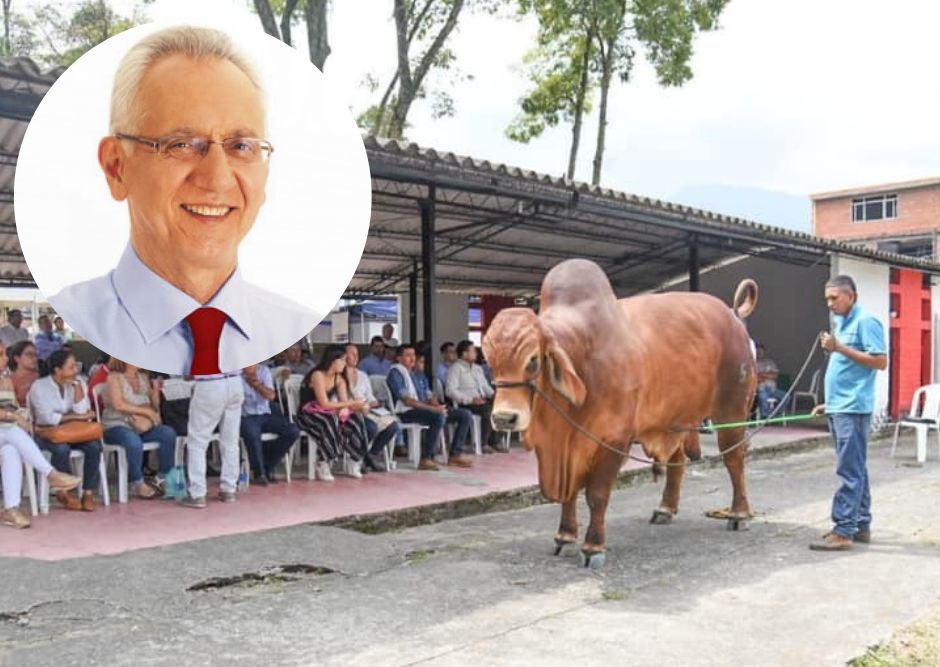 Fortalecer El Sector Pecuario Objetivo De La Feria Bovina Y Exposici N