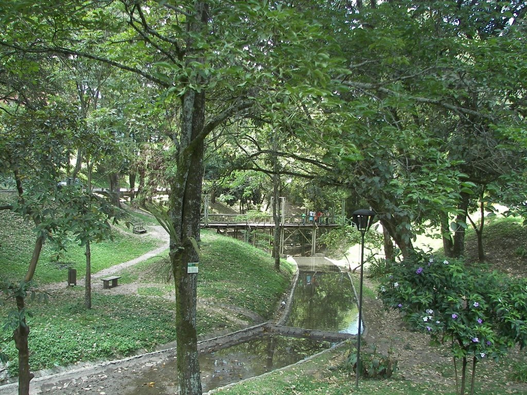 Proyecto Para Mantenimiento Sostenible Del Parque Centenario De Ibagu