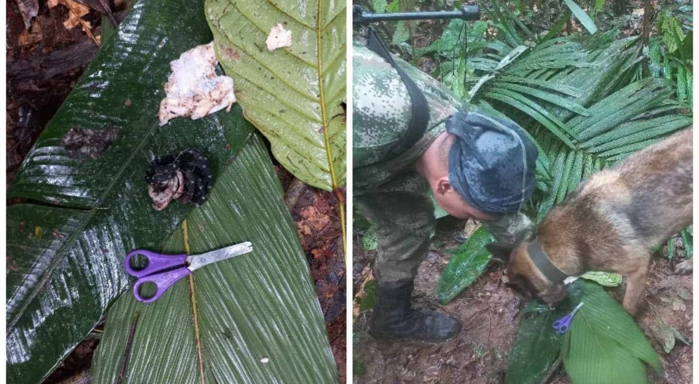 ¿Aparecieron O No Los Cuatro Niños Desaparecidos En La Selva Del ...