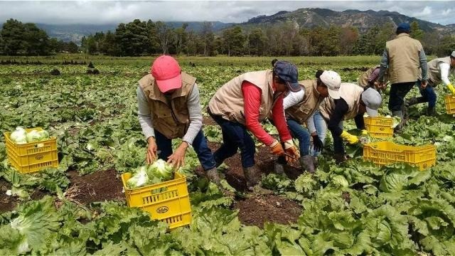 Gobierno Cuenta Con 50 4 Billones Para Implementación De Acuerdo De