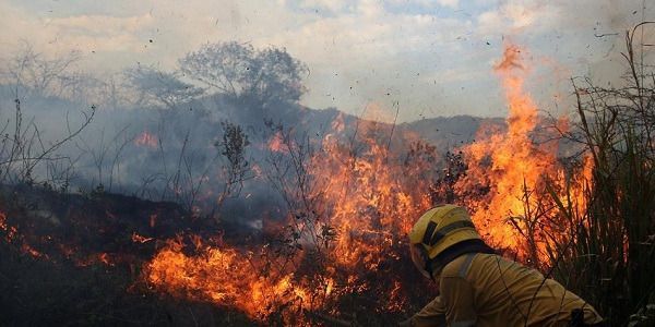 IDEAM declaró alerta roja en Ibagué por incendios forestales | El Cronista