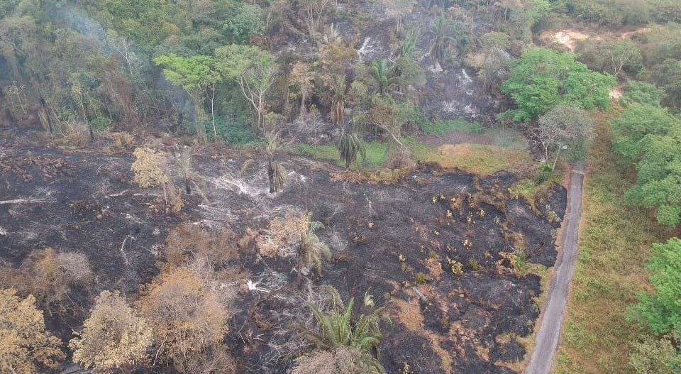 Nuevo incendio forestal de gran envergadura en Carmen de Apicalá | El ...